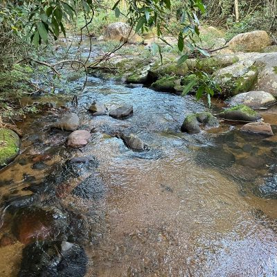 WhatsApp Image 2023-05-09 at 19.48.45