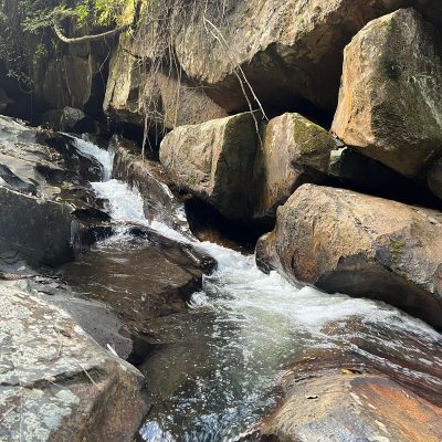 WhatsApp Image 2023-05-09 at 19.48.47 (1)