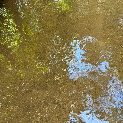 WhatsApp Image 2023-05-09 at 19.48.49 (1)